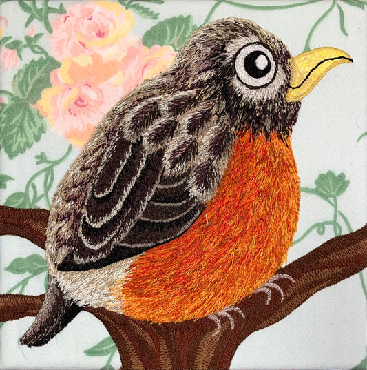 Robin
