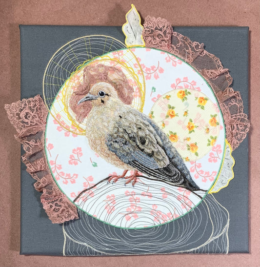 Mourning Dove