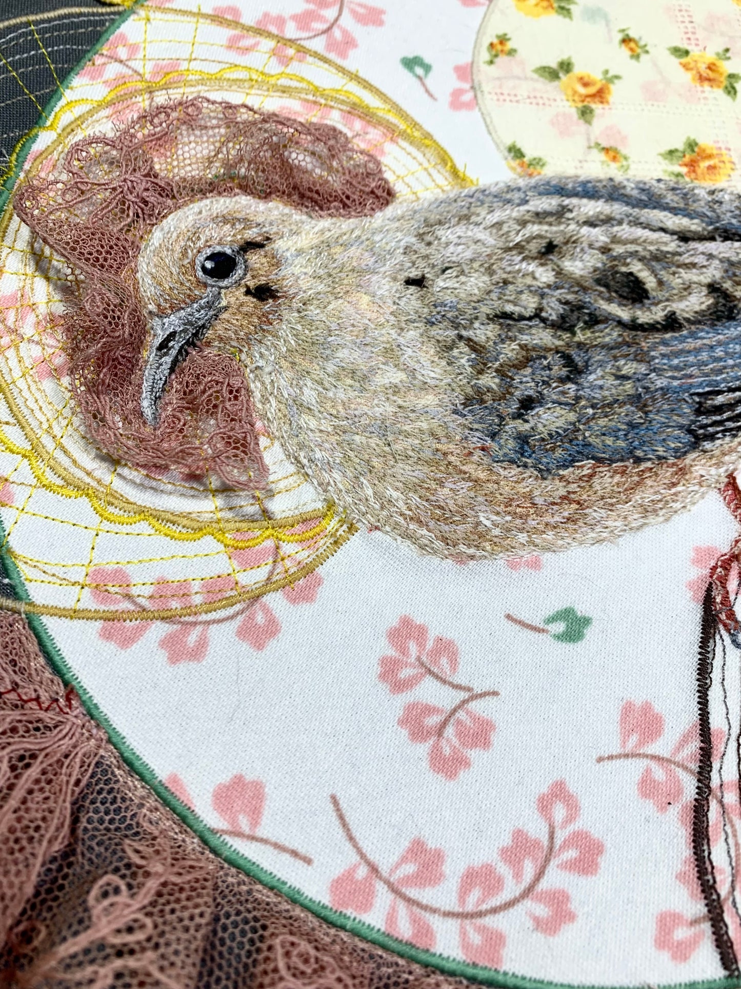 Mourning Dove