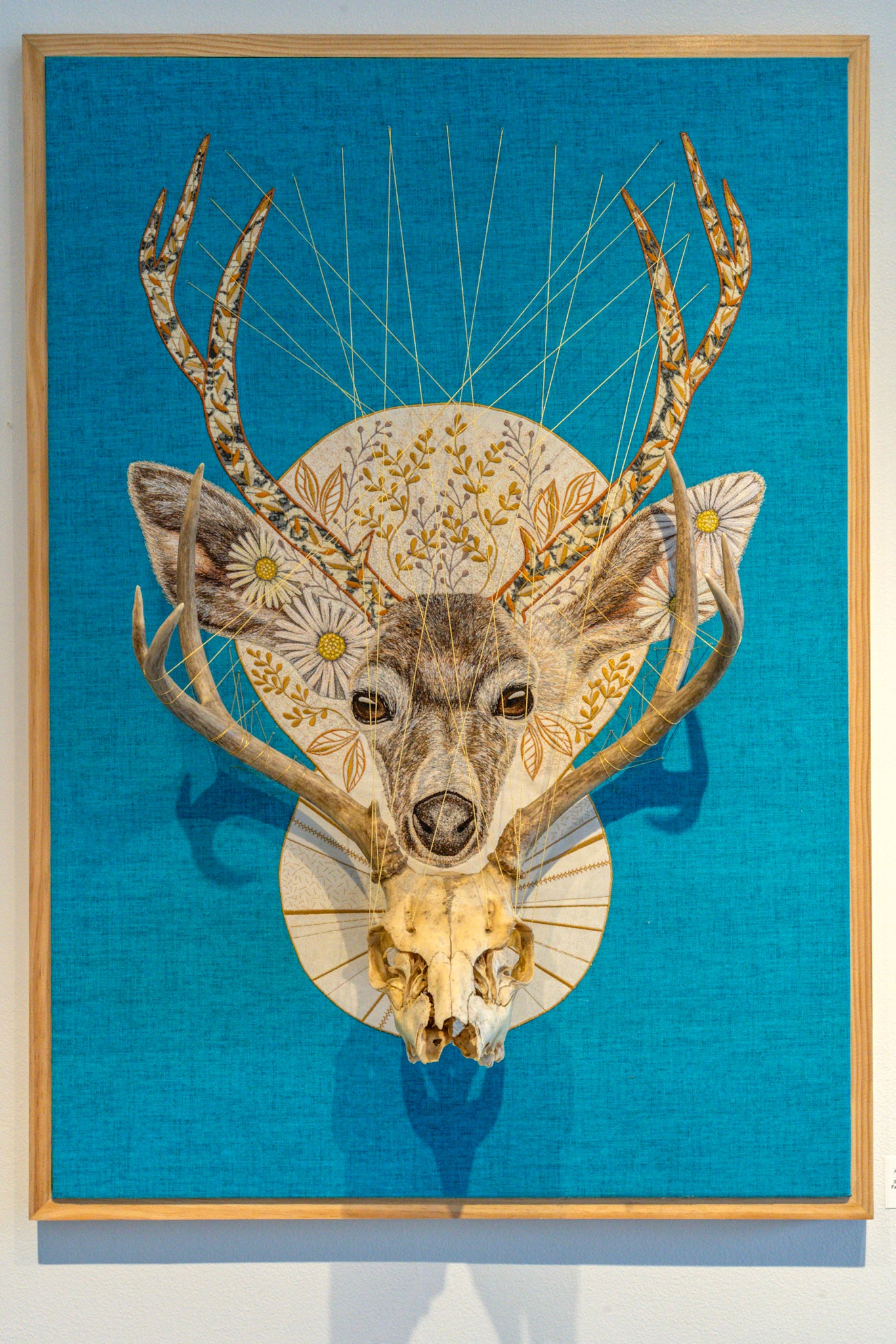Mule Deer
