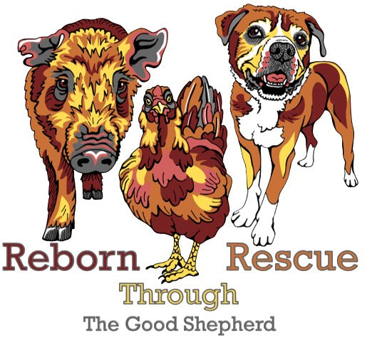 Reborn Through Rescue-Hooded Sweatshirt