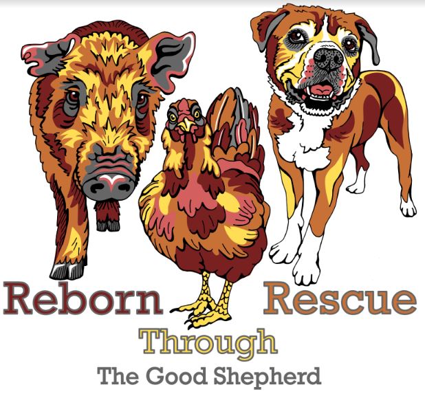 Reborn Through Rescue Tee Shirt