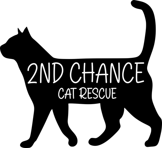 Second Chance