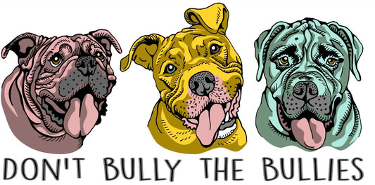 Don't Bully The Bullies- Hooded Sweatshirt